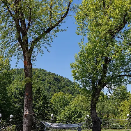 Molfar & карпати 5* Saján