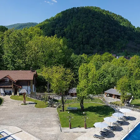 Hotel Molfar & карпати