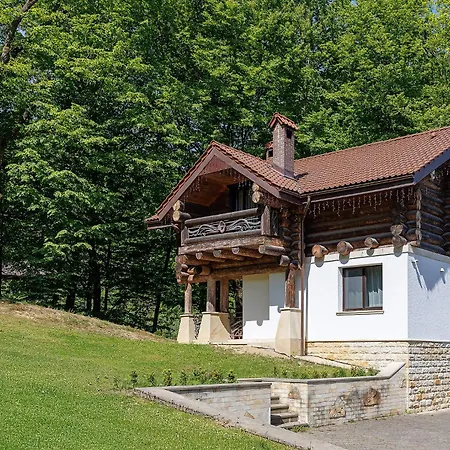 Molfar & карпати Hotel 5*