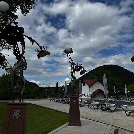 Hotel Molfar & карпати 5*