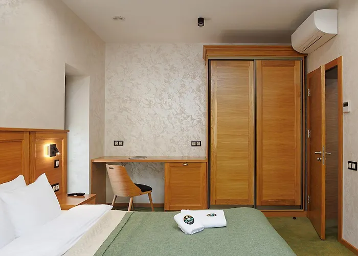 Molfar & карпати 酒店 沙安