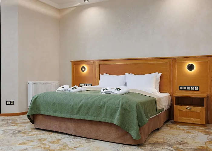 Hotel Molfar & карпати 5*